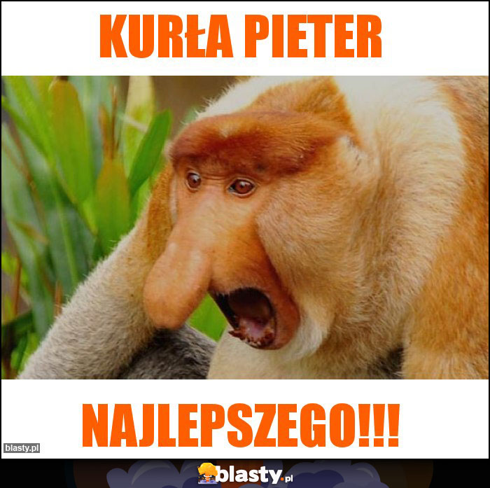 Kurła Pieter