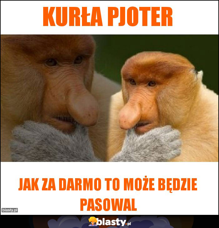 Kurła pjoter