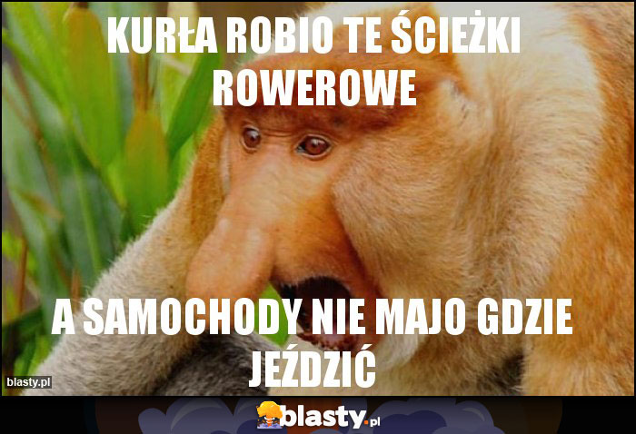 KURŁA ROBIO TE ŚCIEŻKI ROWEROWE