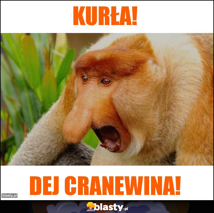 KURŁA!