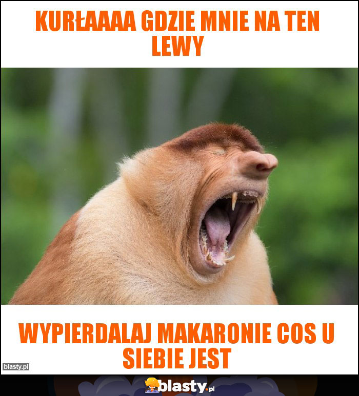 Kurłaaaa gdzie mnie na ten lewy