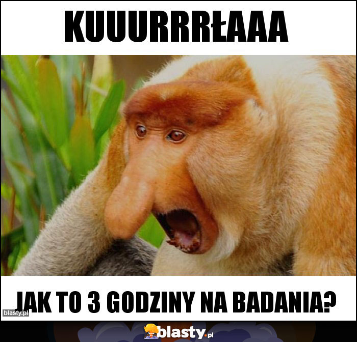 KUUURRRŁAAA