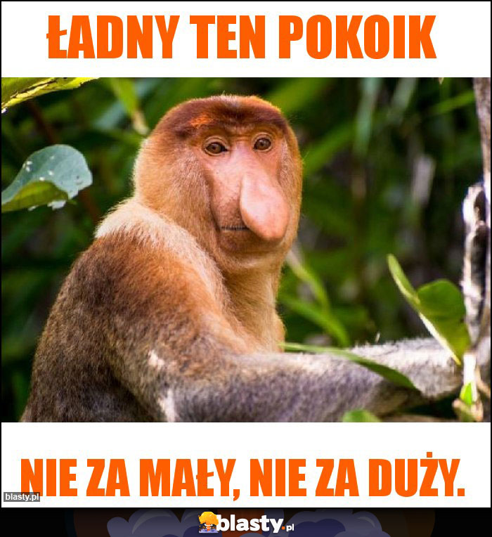 Ładny ten pokoik