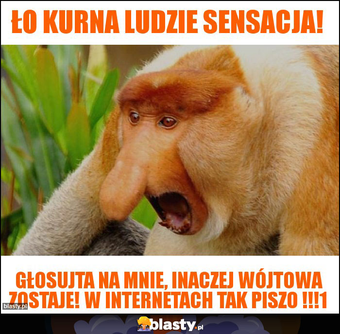 Ło kurna ludzie sensacja!