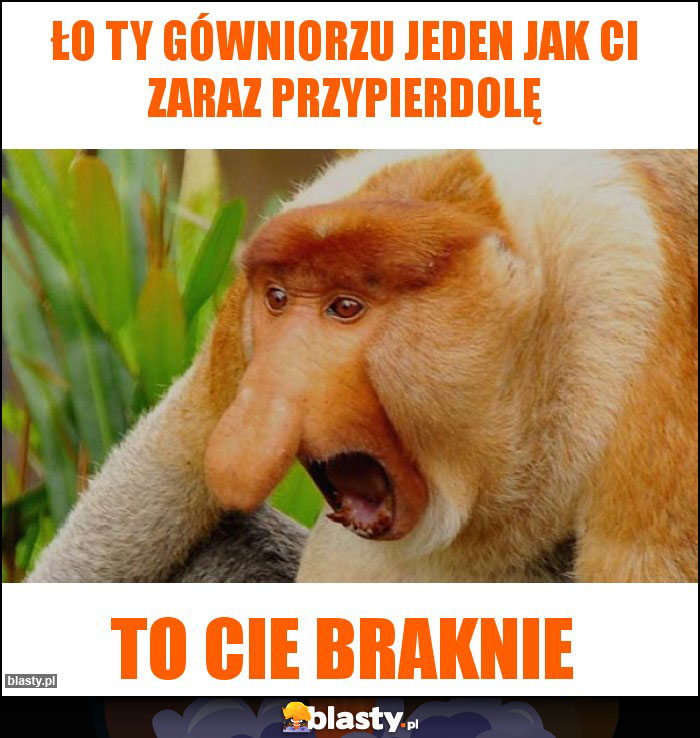 Ło ty gówniorzu jeden jak ci zaraz przypierdolę