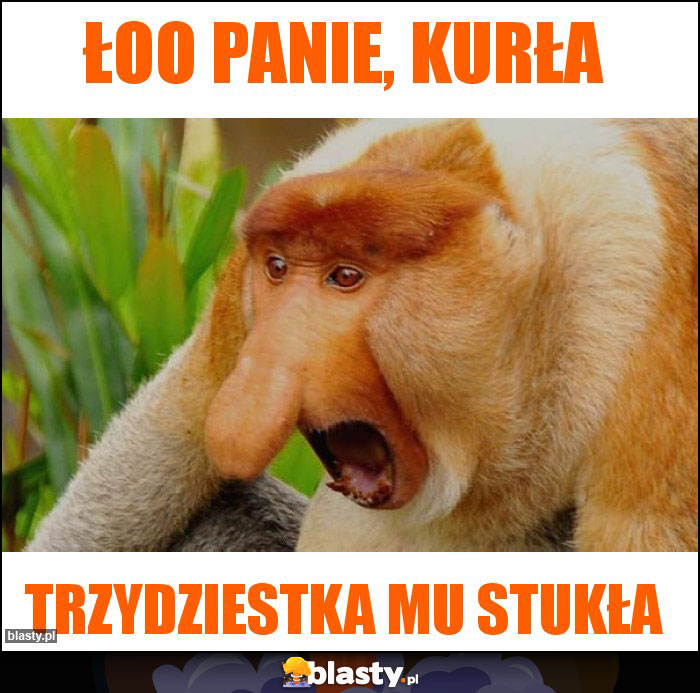 Łoo panie, kurła