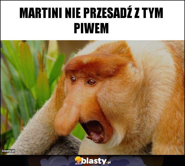 Martini nie przesadź z tym piwem