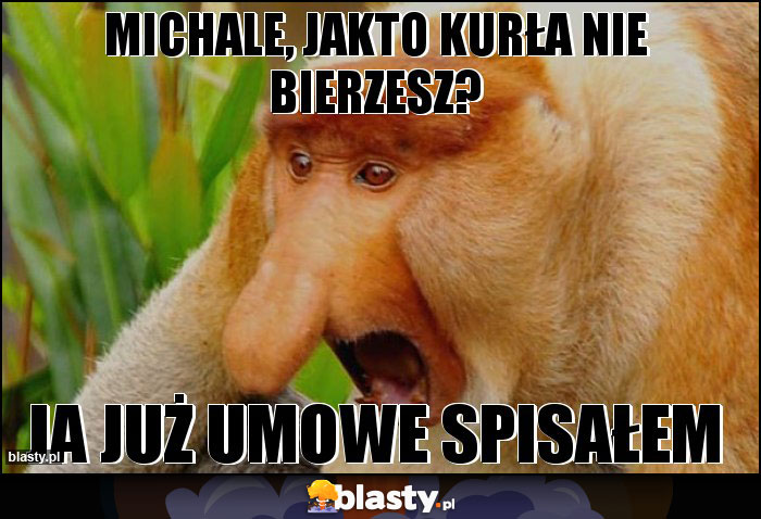 MICHALE, JAKTO KURŁA NIE BIERZESZ?