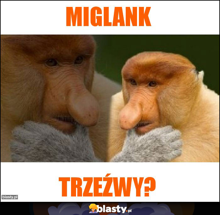 Miglank