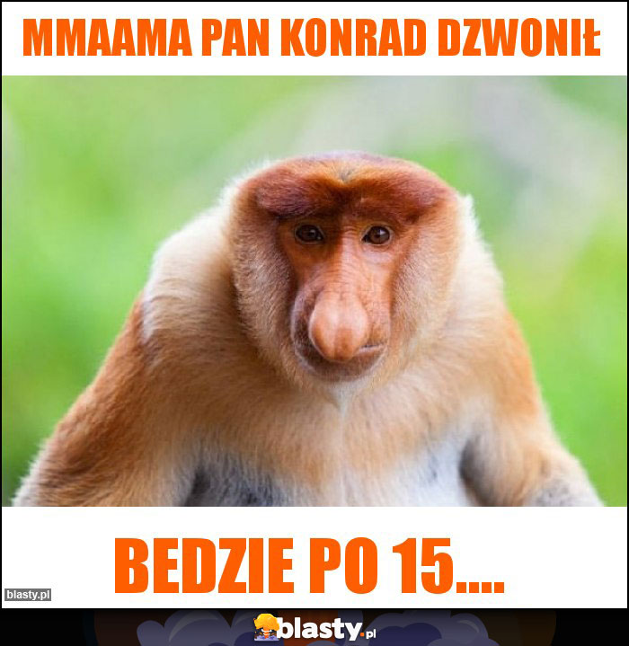 mmaama pan konrad dzwonił