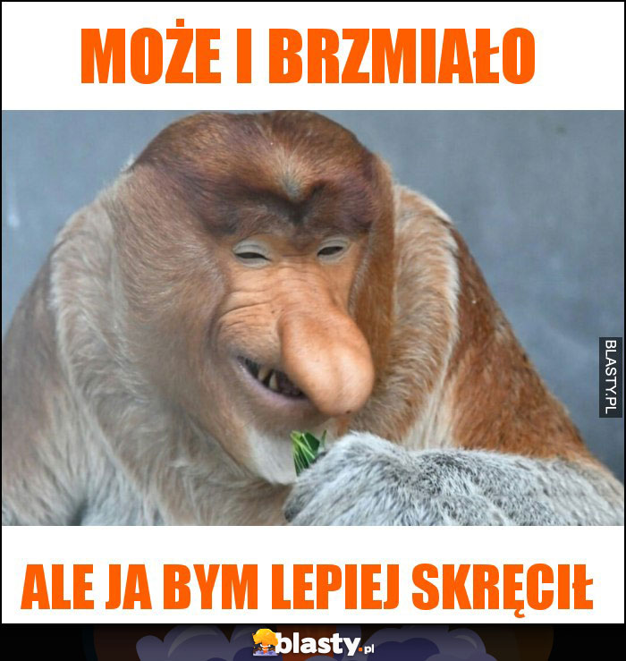 Może i brzmiało