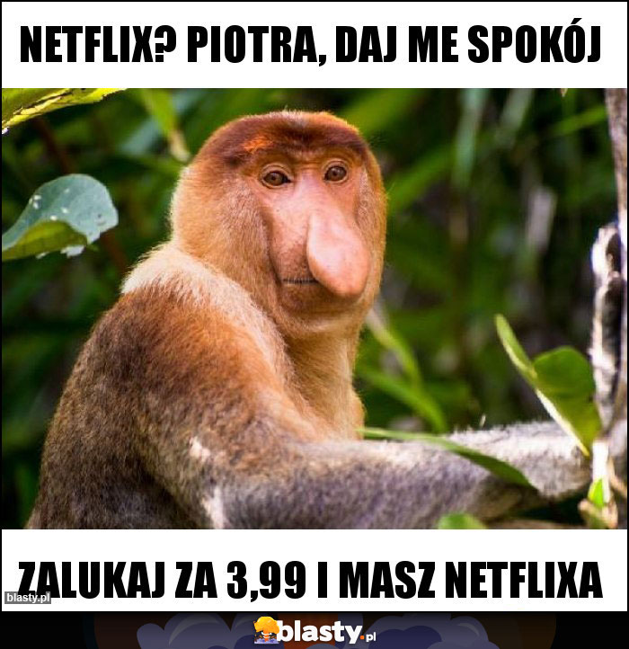 NETFLIX? Piotra, daj me spokój