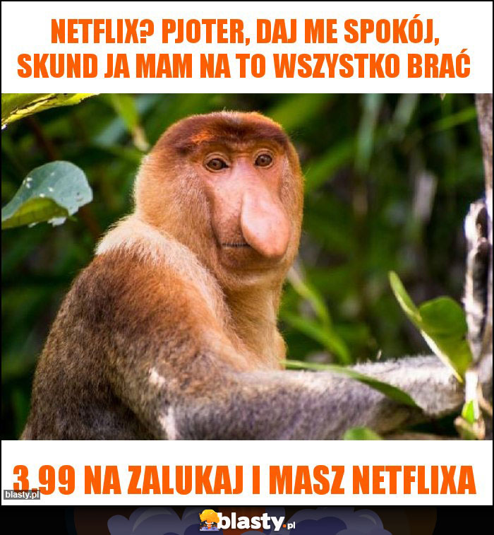 NETFLIX? Pjoter, daj me spokój, skund ja mam na to wszystko brać