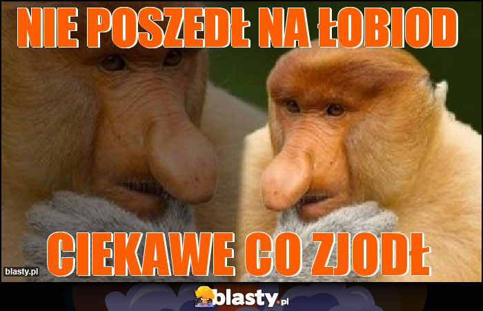 Nie poszedł na Łobiod