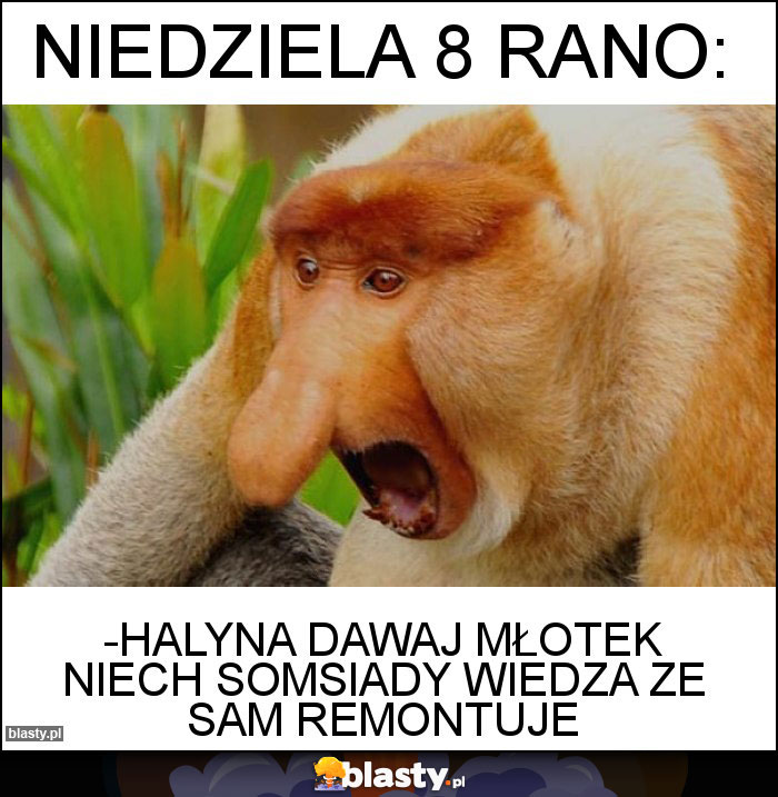 Niedziela 8 rano: