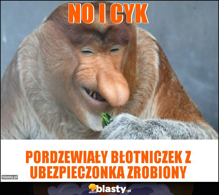 NO I CYK