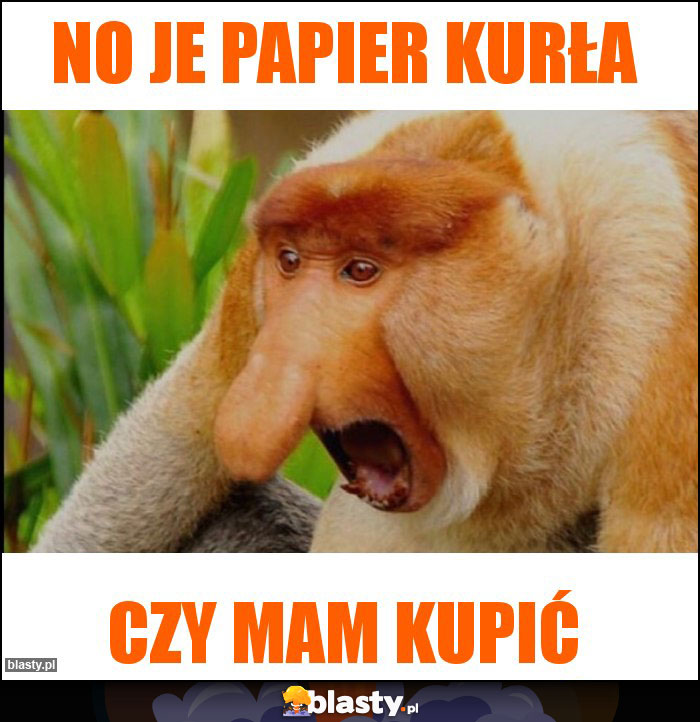 No je papier kurła