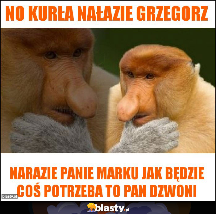 No kurła nałazie Grzegorz