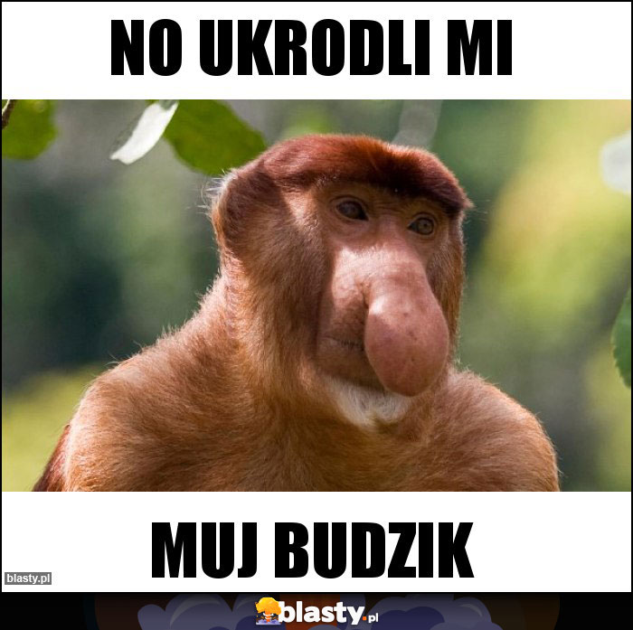 No ukrodli mi