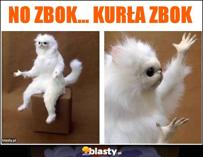 No zbok... Kurła zbok