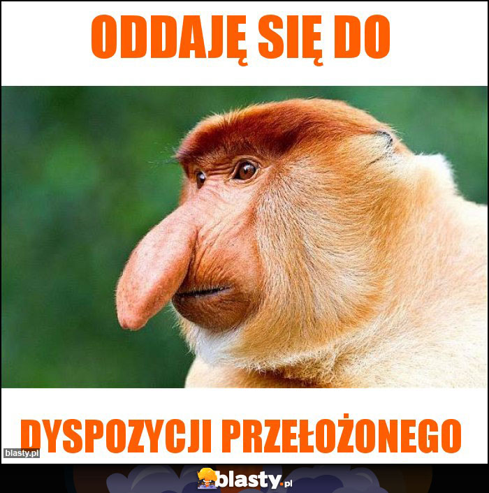 Oddaję się do