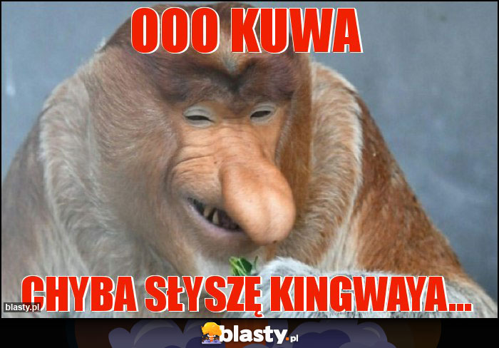 ooo kuwa