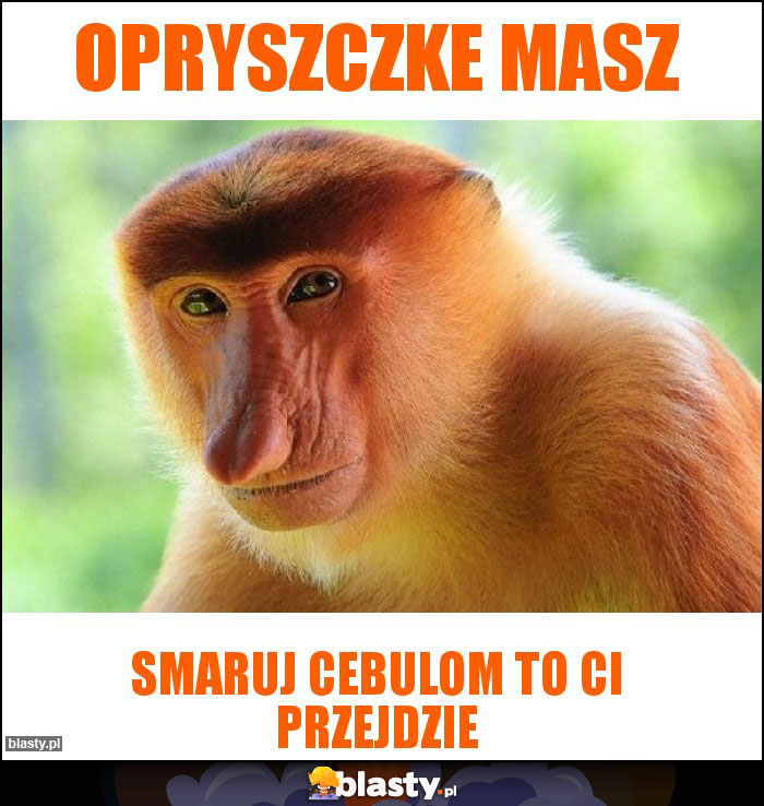 Opryszczke masz