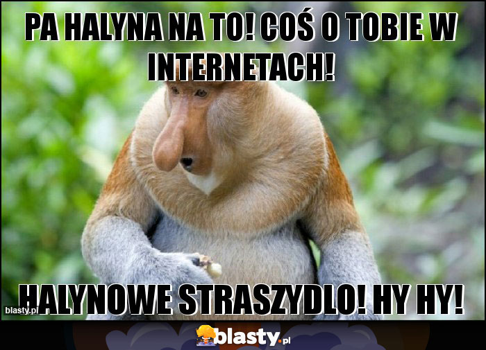 Pa halyna na to! Coś o tobie w internetach!