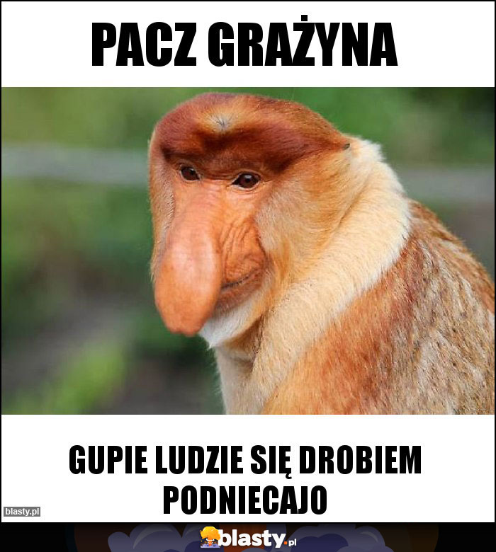 Pacz grażyna