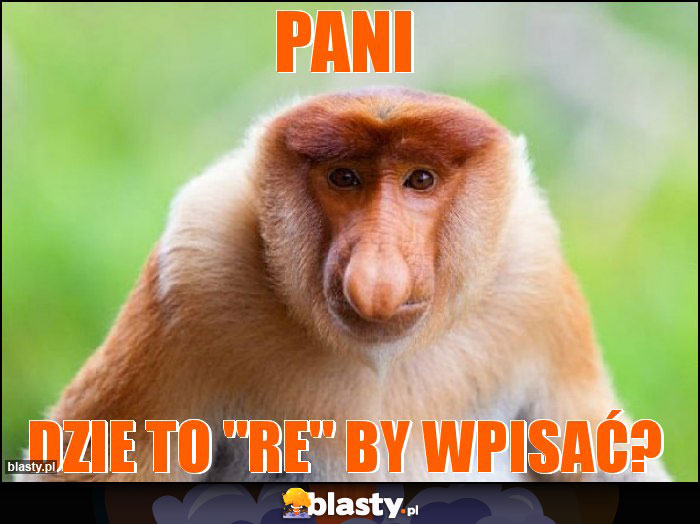 PANI