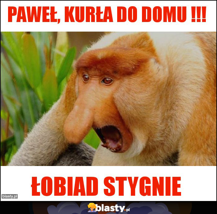 PAWEŁ, KURŁA DO DOMU !!!