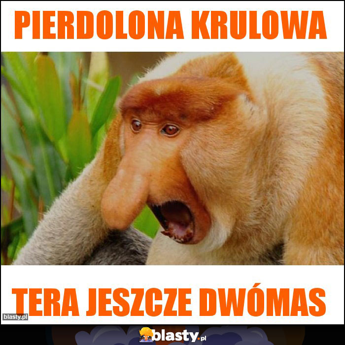 Pierdolona krulowa