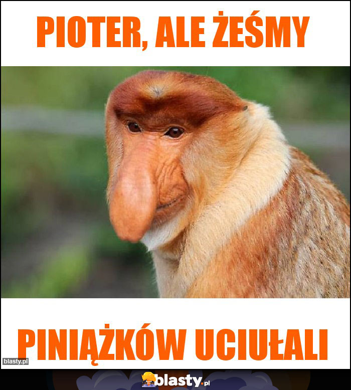 Pioter, ale żeśmy