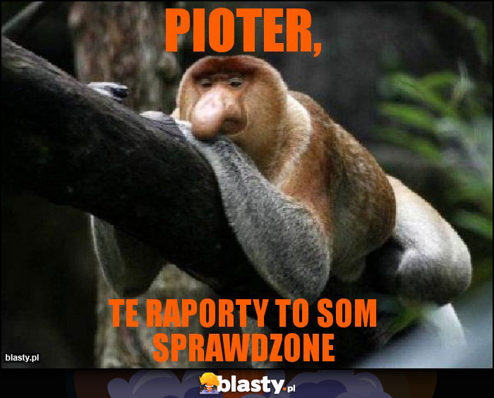 Pioter,