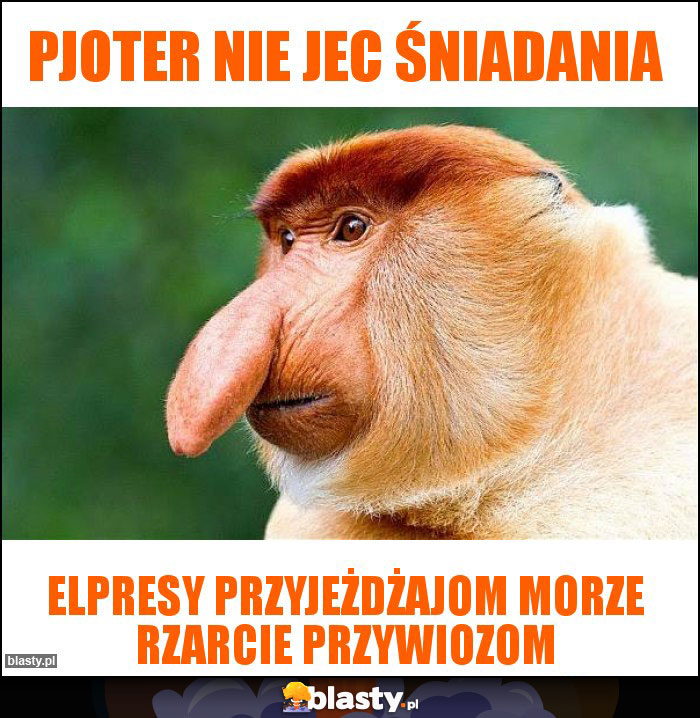 Pjoter nie jec śniadania