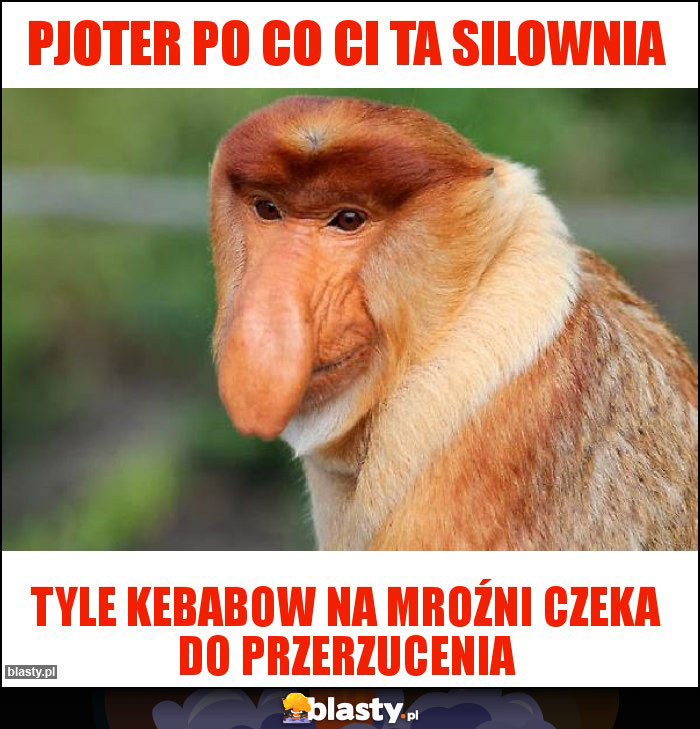 PJoter po co Ci ta silownia