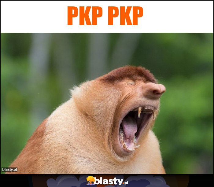 Pkp pkp