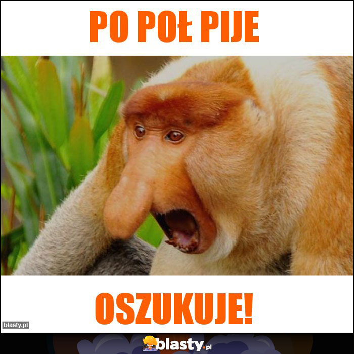 Po poł pije