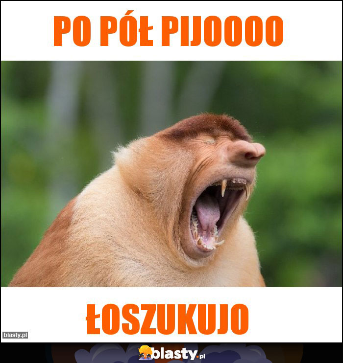 Po pół pijoooo