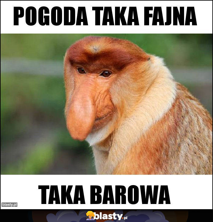 Pogoda taka fajna