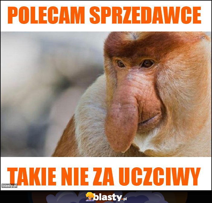 Polecam Sprzedawce