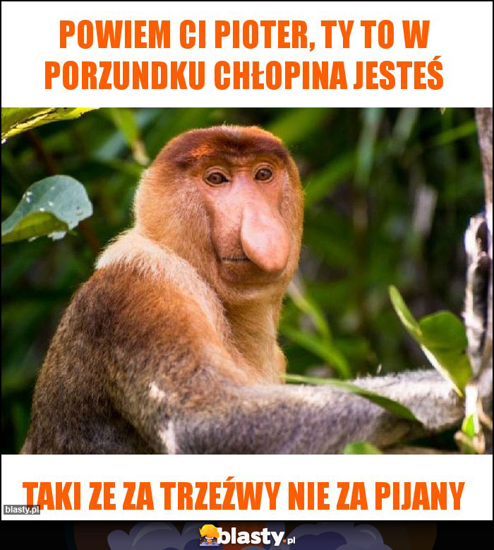 Powiem Ci Pioter, ty to w porzundku chłopina jesteś