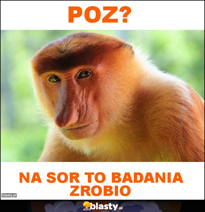 POZ?