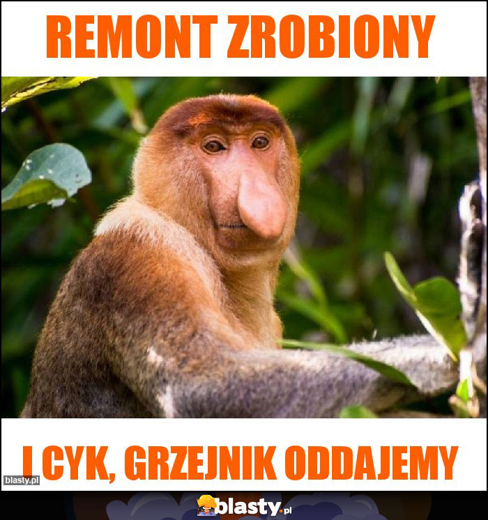 Remont zrobiony