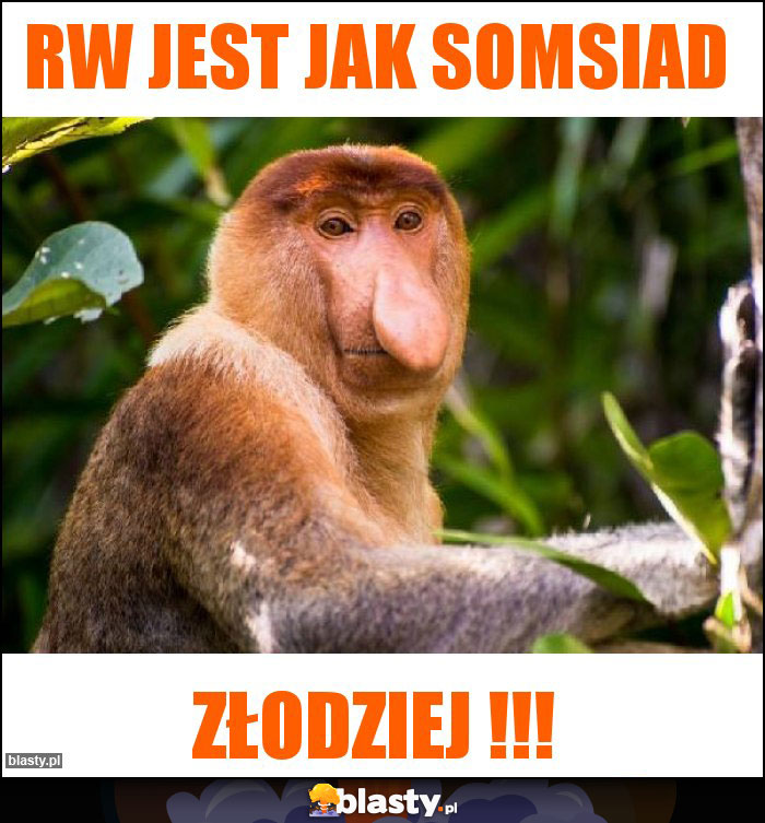 RW jest jak somsiad