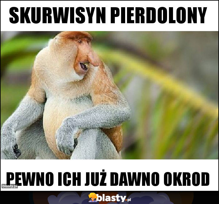 skurwisyn pierdolony