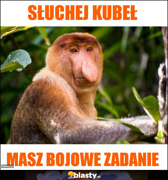 Słuchej Kubeł