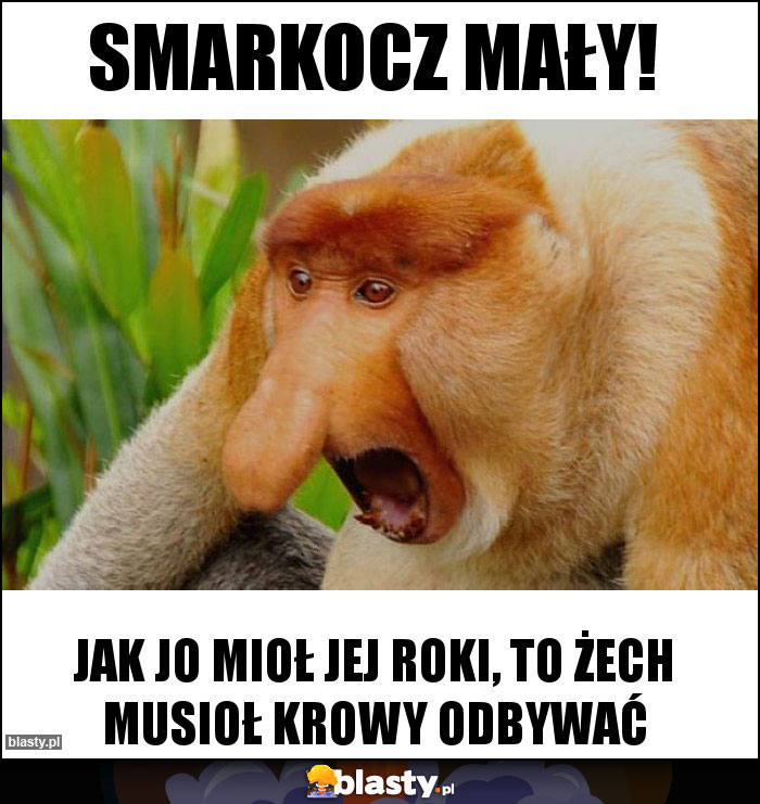 Smarkocz mały!