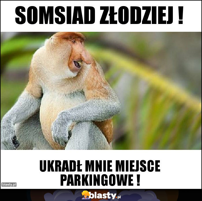 Somsiad złodziej !