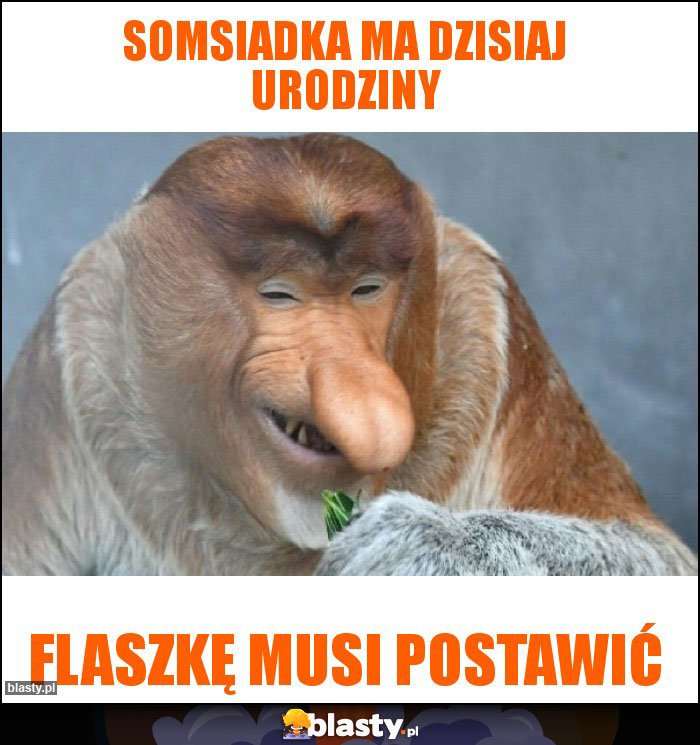 SOMSIADKA MA DZISIAJ URODZINY